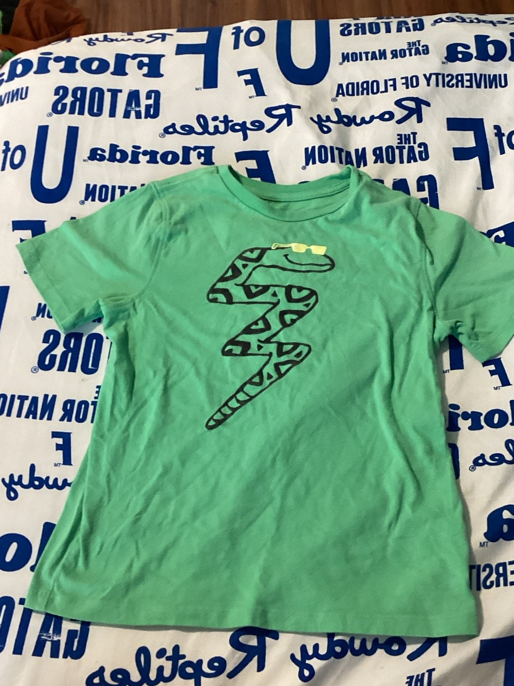 Boys Short-Sleeve Graphic Tee in Mint Green with Snake Design